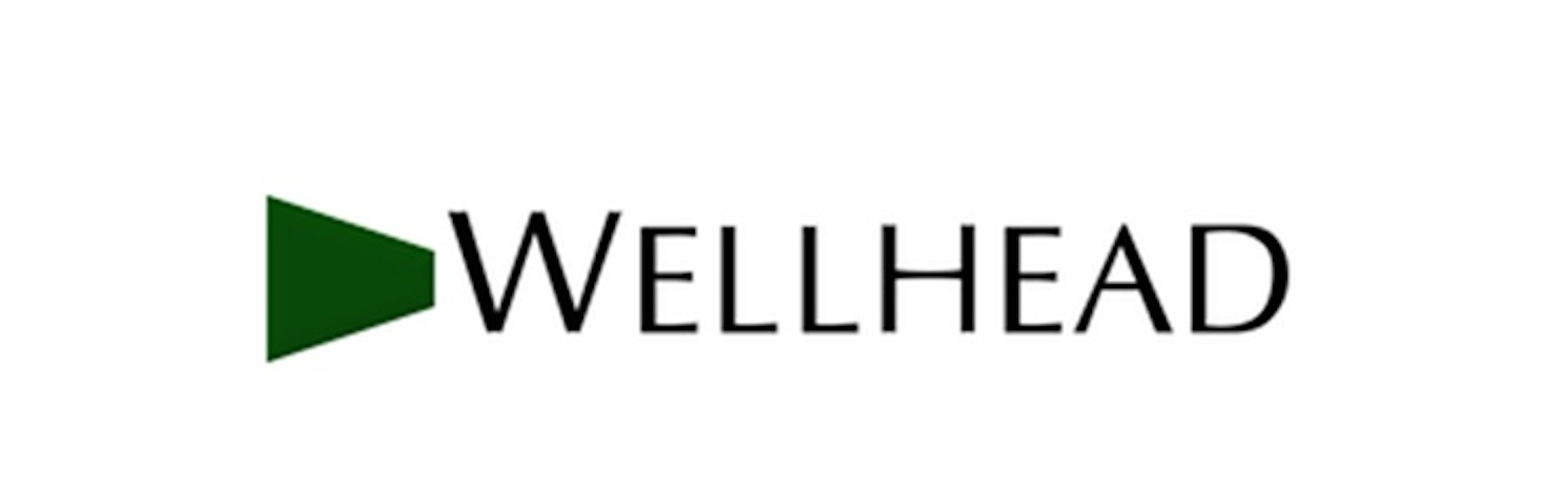 SP-wellhead1