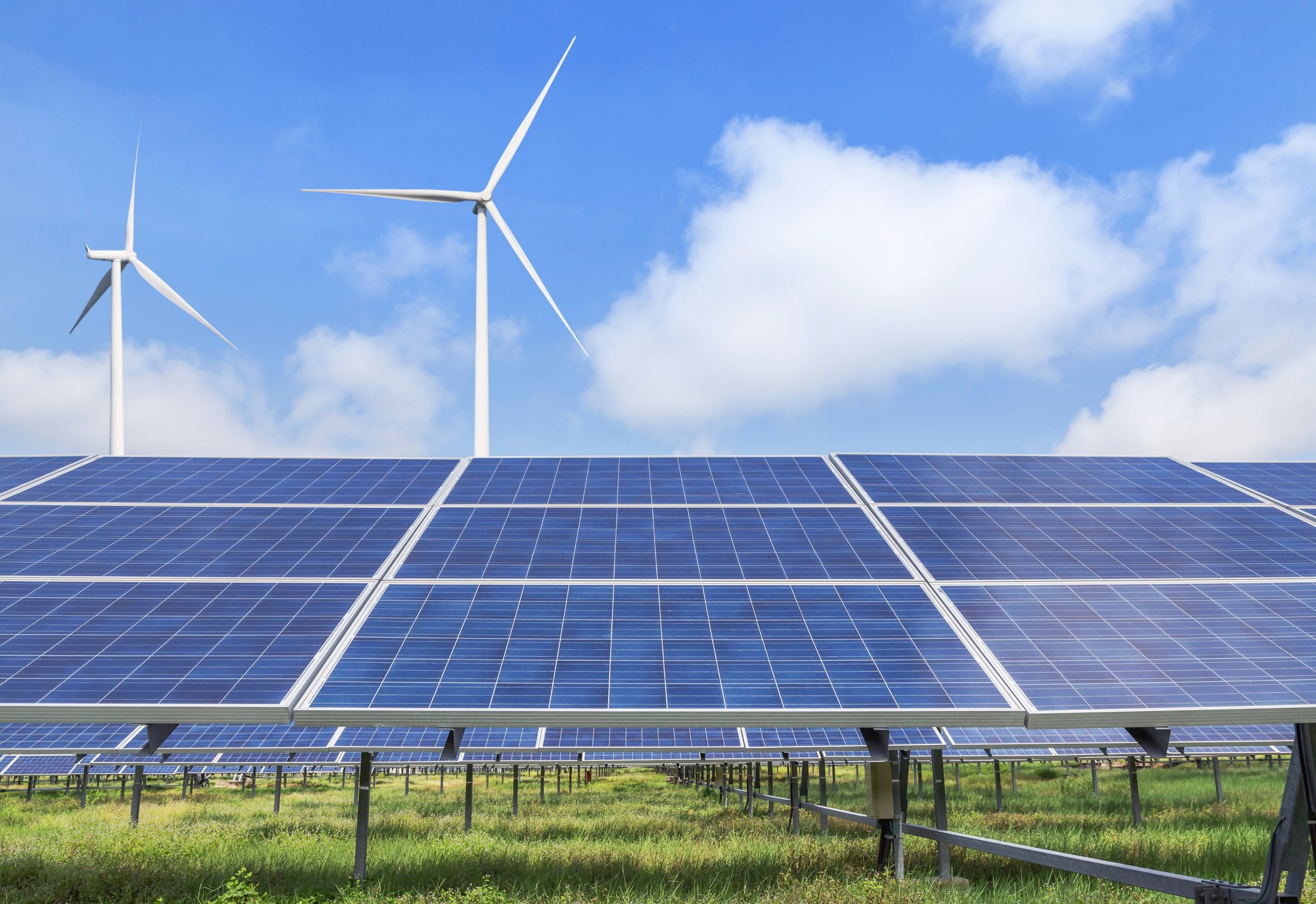 Wind turbines generating renewable energy